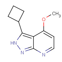 1293394-57-6 3-cyclobutyl-4-methoxy-2H-pyrazolo[3,4-b]pyridine chemical structure