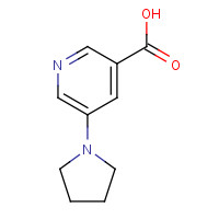 107946-76-9 5-pyrrolidin-1-ylpyridine-3-carboxylic acid chemical structure