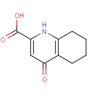 184107-08-2 4-oxo-5,6,7,8-tetrahydro-1H-quinoline-2-carboxylic acid chemical structure