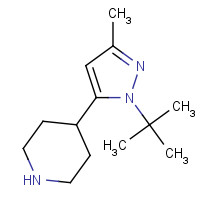879399-74-3 4-(2-tert-butyl-5-methylpyrazol-3-yl)piperidine chemical structure