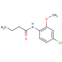 196866-07-6 N-(4-chloro-2-methoxyphenyl)butanamide chemical structure