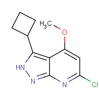 1293394-84-9 6-chloro-3-cyclobutyl-4-methoxy-2H-pyrazolo[3,4-b]pyridine chemical structure