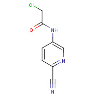 1116015-91-8 2-chloro-N-(6-cyanopyridin-3-yl)acetamide chemical structure