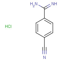 117837-77-1 4-cyanobenzenecarboximidamide;hydrochloride chemical structure