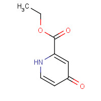 53764-72-0 ethyl 4-oxo-1H-pyridine-2-carboxylate chemical structure