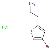 1172469-40-7 2-(4-bromothiophen-2-yl)ethanamine;hydrochloride chemical structure