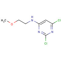 879609-73-1 2,6-dichloro-N-(2-methoxyethyl)pyrimidin-4-amine chemical structure