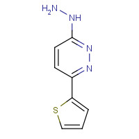 75792-87-9 (6-thiophen-2-ylpyridazin-3-yl)hydrazine chemical structure