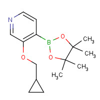 1610521-15-7 3-(cyclopropylmethoxy)-4-(4,4,5,5-tetramethyl-1,3,2-dioxaborolan-2-yl)pyridine chemical structure