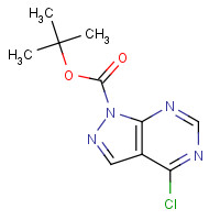943324-22-9 tert-butyl 4-chloropyrazolo[3,4-d]pyrimidine-1-carboxylate chemical structure