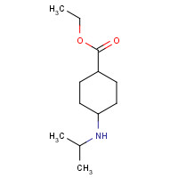 1178474-39-9 ethyl 4-(propan-2-ylamino)cyclohexane-1-carboxylate chemical structure