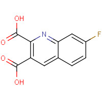 110139-62-3 7-fluoroquinoline-2,3-dicarboxylic acid chemical structure