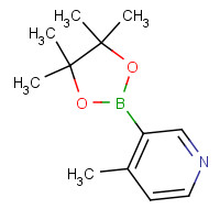 1171891-31-8 4-methyl-3-(4,4,5,5-tetramethyl-1,3,2-dioxaborolan-2-yl)pyridine chemical structure