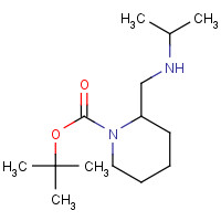 1289387-82-1 tert-butyl 2-[(propan-2-ylamino)methyl]piperidine-1-carboxylate chemical structure
