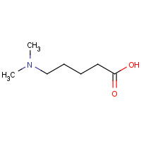 89855-60-7 5-(dimethylamino)pentanoic acid chemical structure