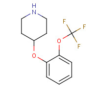 902836-49-1 4-[2-(trifluoromethoxy)phenoxy]piperidine chemical structure