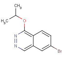 1019327-30-0 6-bromo-1-propan-2-yloxyphthalazine chemical structure