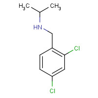 46190-62-9 N-[(2,4-dichlorophenyl)methyl]propan-2-amine chemical structure