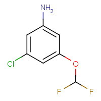 1261849-95-9 3-chloro-5-(difluoromethoxy)aniline chemical structure