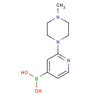 1003043-58-0 [2-(4-methylpiperazin-1-yl)pyridin-4-yl]boronic acid chemical structure