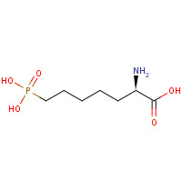 81338-23-0 (2R)-2-amino-7-phosphonoheptanoic acid chemical structure