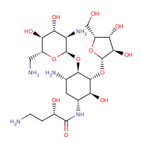 34291-02-6 (2S)-4-amino-N-[(1R,2S,3R,4R,5S)-5-amino-4-[(2R,3R,4R,5S,6R)-3-amino-6-(aminomethyl)-4,5-dihydroxyoxan-2-yl]oxy-3-[(2S,3R,4R,5R)-3,4-dihydroxy-5-(hydroxymethyl)oxolan-2-yl]oxy-2-hydroxycyclohexyl]-2-hydroxybutanamide chemical structure