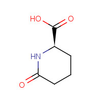 72002-30-3 (2R)-6-oxopiperidine-2-carboxylic acid chemical structure