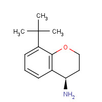 1221444-51-4 (4R)-8-tert-butyl-3,4-dihydro-2H-chromen-4-amine chemical structure