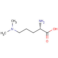 121428-46-4 (2S)-2-amino-5-(dimethylamino)pentanoic acid chemical structure