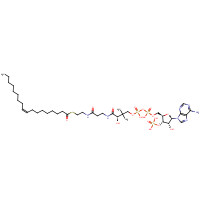 1716-06-9 S-[2-[3-[[(2R)-4-[[[(2R,3S,4R,5R)-5-(6-aminopurin-9-yl)-4-hydroxy-3-phosphonooxyoxolan-2-yl]methoxy-hydroxyphosphoryl]oxy-hydroxyphosphoryl]oxy-2-hydroxy-3,3-dimethylbutanoyl]amino]propanoylamino]ethyl] (Z)-octadec-9-enethioate chemical structure