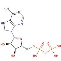 95550-03-1 [(2R,3S,4R,5R)-5-(6-amino-7,8-dihydropurin-9-yl)-3,4-dihydroxyoxolan-2-yl]methyl phosphono hydrogen phosphate chemical structure