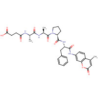 88467-45-2 4-[[(2S)-1-[[(2S)-1-[(2S)-2-[[(2S)-1-[(4-methyl-2-oxochromen-7-yl)amino]-1-oxo-3-phenylpropan-2-yl]carbamoyl]pyrrolidin-1-yl]-1-oxopropan-2-yl]amino]-1-oxopropan-2-yl]amino]-4-oxobutanoic acid chemical structure