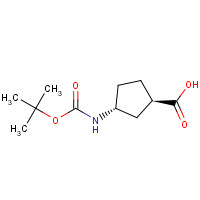 489446-85-7 (1R,3R)-3-[(2-methylpropan-2-yl)oxycarbonylamino]cyclopentane-1-carboxylic acid chemical structure