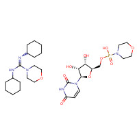 24558-91-6 N,N'-dicyclohexylmorpholine-4-carboximidamide;[(2R,3S,4R,5R)-5-(2,4-dioxopyrimidin-1-yl)-3,4-dihydroxyoxolan-2-yl]methoxy-morpholin-4-ylphosphinic acid chemical structure