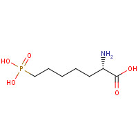 81338-24-1 (2S)-2-amino-7-phosphonoheptanoic acid chemical structure