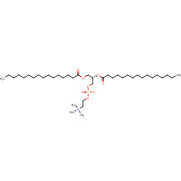 35418-55-4 [(2S)-2,3-di(hexadecanoyloxy)propyl] 2-(trimethylazaniumyl)ethyl phosphate chemical structure