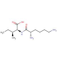 20556-13-2 (2S,3S)-2-[[(2S)-2,6-diaminohexanoyl]amino]-3-methylpentanoic acid chemical structure