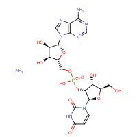 108320-81-6 [(2R,3S,4R,5R)-5-(6-aminopurin-9-yl)-3,4-dihydroxyoxolan-2-yl]methyl [(2R,3R,4R,5R)-2-(2,4-dioxopyrimidin-1-yl)-4-hydroxy-5-(hydroxymethyl)oxolan-3-yl] hydrogen phosphate;azane chemical structure