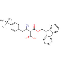 403661-86-9 (2S)-3-amino-4-(4-tert-butylphenyl)-2-(9H-fluoren-9-ylmethoxycarbonyl)butanoic acid chemical structure