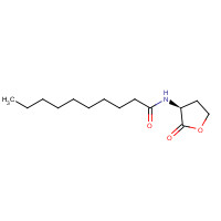 177315-87-6 N-[(3S)-2-oxooxolan-3-yl]decanamide chemical structure