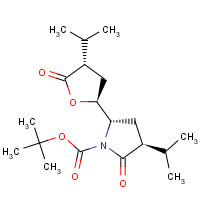 934841-17-5 tert-butyl (3S,5S)-2-oxo-5-[(2S,4S)-5-oxo-4-propan-2-yloxolan-2-yl]-3-propan-2-ylpyrrolidine-1-carboxylate chemical structure