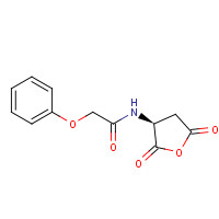 91807-59-9 N-[(3S)-2,5-dioxooxolan-3-yl]-2-phenoxyacetamide chemical structure