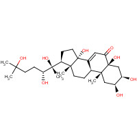 18069-14-2 (2S,3R,5S,9R,10R,13R,14S,17S)-2,3,5,14-tetrahydroxy-10,13-dimethyl-17-[(2R,3R)-2,3,6-trihydroxy-6-methylheptan-2-yl]-1,2,3,4,9,11,12,15,16,17-decahydrocyclopenta[a]phenanthren-6-one chemical structure