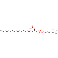 137566-83-7 [(2R)-2-acetyloxy-3-hexadecoxypropyl] 6-(trimethylazaniumyl)hexyl phosphate chemical structure