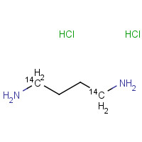 69102-07-4 butane-1,4-diamine;dihydrochloride chemical structure