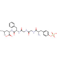 80632-52-6 (2S)-2-[[(2S)-2-[[2-[[2-[[(2S)-2-amino-3-(4-sulfooxyphenyl)propanoyl]amino]acetyl]amino]acetyl]amino]-3-phenylpropanoyl]amino]-4-methylpentanoic acid chemical structure