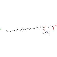 18877-64-0 [(2R)-3-carboxy-2-hexadecanoyloxypropyl]-trimethylazanium;chloride chemical structure