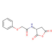 4515-22-4 N-[(3R)-2,5-dioxooxolan-3-yl]-2-phenoxyacetamide chemical structure