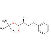 83079-77-0 tert-butyl (2S)-2-amino-4-phenylbutanoate chemical structure