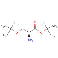 48067-24-9 tert-butyl (2S)-2-amino-3-[(2-methylpropan-2-yl)oxy]propanoate chemical structure